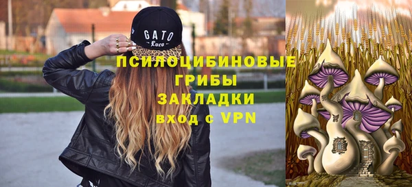ГАЛЛЮЦИНОГЕННЫЕ ГРИБЫ Аркадак
