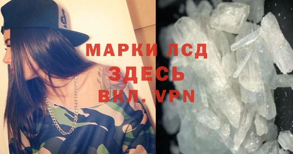 ГАЛЛЮЦИНОГЕННЫЕ ГРИБЫ Аркадак